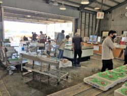 玉野魚市場